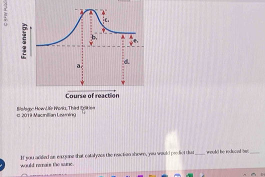 2019 Macmillan Learning 
If you added an enzyme that catalyzes the reaction shown, you would predict that_ would be reduced but_ 
would remain the same.