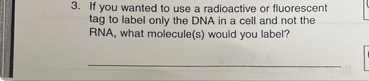 If you wanted to use a radioactive or fluorescent 
tag to label only the DNA in a cell and not the 
RNA, what molecule(s) would you label? 
_