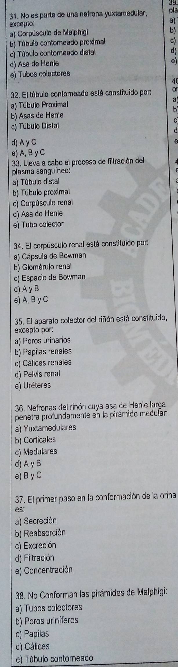 39
31. No es parte de una nefrona yuxtamedular, pla
excepto: a)
a) Corpúsculo de Malphigi b)
b) Túbulo contorneado proximal
c)
c) Túbulo contoreado distal
d)
d) Asa de Henle
e)
e) Tubos colectores
40
32. El túbulo contoreado está constituido por: or
a) Túbulo Proximal
b
b) Asas de Henle
c) Túbulo Distal
C
d) A yC
e) A, B y C
33. Lleva a cabo el proceso de filtración del
plasma sanguíneo:
a) Túbulo distal
b) Túbulo proximal
c) Corpúsculo renal
d) Asa de Henle
e) Tubo colector
34. El corpúsculo renal está constituido por:
a) Cápsula de Bowman
b) Glomérulo renal
c) Espacio de Bowman
d) A y B
e) A, B y C
35. El aparato colector del riñón está constituido,
excepto por:
a) Poros urinarios
b) Papilas renales
c) Cálices renales
d) Pelvis renal
e) Uréteres
36. Nefronas del riñón cuya asa de Henle larga
penetra profundamente en la pirámide medular:
a) Yuxtamedulares
b) Corticales
c) Medulares
d) A y B
e) B y C
37. El primer paso en la conformación de la orina
es:
a) Secreción
b) Reabsorción
c) Excreción
d) Filtración
e) Concentración
38. No Conforman las pirámides de Malphigi:
a) Tubos colectores
b) Poros uriníferos
c) Papilas
d) Cálices
e) Túbulo contorneado