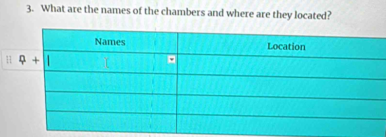 What are the names of the chambers and where are they located?