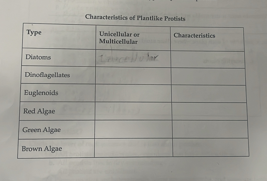 Characteristics of Plantlike Protists