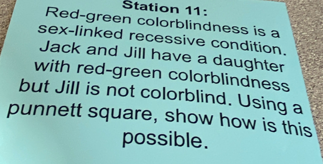 Station 11: 
Red-green colorblindness is a 
sex-linked recessive condition. 
Jack and Jill have a daughter 
with red-green colorblindness 
but Jill is not colorblind. Using a 
punnett square, show how is this 
possible.