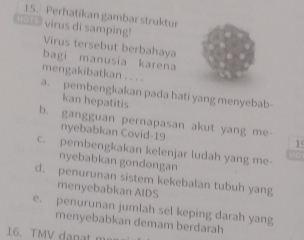 Perhatikan gambar struktur
virus di samping! Virus tersebut berbahaya
bagi manusia karena
mengakibatkan . . . .
a. pembengkakan pada hati yang menyebab
kan hepatitis
b. gangguan pernapasan akut yang me
nyebabkan Covid-19
19
C. pembengkakan kelenjar ludah yang me-
nyebabkan gondongan
d. penurunan sistem kekebalan tubuh yang
menyebabkan AIDS
e. penurunan jumlah sel keping darah yang
menyebabkan demam berdarah
16. TMV danat m