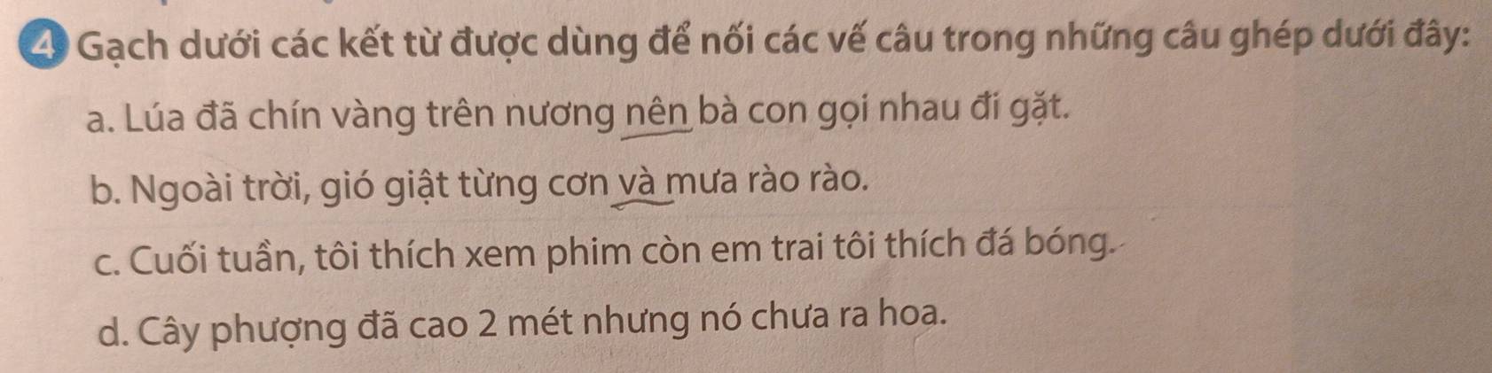 Gạch dưới các kết từ được dùng để nối các vế câu trong những câu ghép dưới đây:
a. Lúa đã chín vàng trên nương nên bà con gọi nhau đi gặt.
b. Ngoài trời, gió giật từng cơn và mưa rào rào.
c. Cuối tuần, tôi thích xem phim còn em trai tôi thích đá bóng.
d. Cây phượng đã cao 2 mét nhưng nó chưa ra hoa.