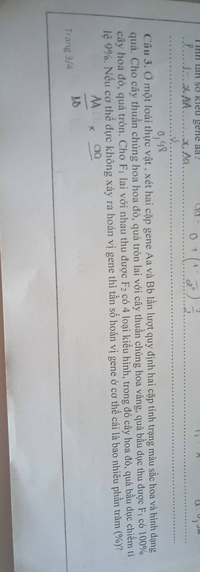 inh tan so kiểu gene đã ? 12 a 
Câu 3. Ở một loài thực vật , xét hai cặp gene Aa và Bb lần lượt quy định hai cặp tính trạng màu sắc hoa và hình dạng 
quả. Cho cây thuần chủng hoa hoa đỏ, quả tròn lai với cây thuần chủng hoa vàng, quả bầu dục thu được F_1 có 100%
cây hoa đỏ, quả tròn. Cho F_1 lai với nhau thu được F_2 có 4 loại kiểu hình, trong đó cây hoa đỏ, quả bầu dục chiếm ti 
lệ 9%. Nếu cơ thể đực không xảy ra hoán vị gene thì tần số hoán vị gene ở cơ thể cái là bao nhiêu phần trăm (%)? 
Trang 3/4