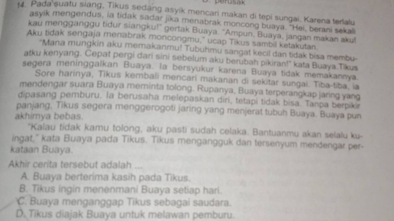 perusak
f4. Pada suatu siang, Tikus sedang asyik mencari makan di tepi sungai. Karena terlalu
asyik mengendus, ia tidak sadar jika menabrak moncong buaya. "Hei, berani sekali
kau mengganggu tidur siangku!' gertak Buaya. 'Ampun, Buaya, jangan makan aku!!
Aku tidak sengaja menabrak moncongmu," ucap Tikus sambil ketakutan.
"Mana mungkin aku memakanmu! Tubuhmu sangat kecil dan tidak bisa membu-
atku kenyang. Cepat pergi dari sini sebelum aku berubah pikiran!" kata Buaya.Tikus
segera meninggalkan Buaya. la bersyukur karena Buaya tidak memakannya.
Sore harinya, Tikus kembali mencari makanan di sekitar sungai. Tiba-tiba, ia
mendengar suara Buaya meminta tolong. Rupanya, Buaya terperangkap jaring yang
dipasang pemburu. la berusaha melepaskan diri, tetapi tidak bisa. Tanpa berpikir
panjang, Tikus segera menggerogoti jaring yang menjerat tubuh Buaya. Buaya pun
akhimya bebas.
"Kalau tidak kamu tolong, aku pasti sudah celaka. Bantuanmu akan selalu ku-
ingat," kata Buaya pada Tikus. Tikus mengangguk dan tersenyum mendengar per-
kataan Buaya.
Akhir cerita tersebut adalah ...
A. Buaya berterima kasih pada Tikus.
B. Tikus ingin menenmani Buaya setiap hari.
C. Buaya menganggap Tikus sebagai saudara.
D. Tikus diajak Buaya untuk melawan pemburu.