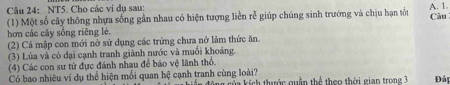 NT5. Cho các ví dụ sau: 
(1) Một số cây thông nhựa sống gần nhau có hiện tượng liền rễ giúp chúng sinh trưởng và chịu hạn tốt A. 1. Câu 
hơn các cây sống riêng lẻ. 
(2) Cá mập con mới nở sử dụng các trứng chưa nở làm thức ăn. 
(3) Lúa và cỏ dại cạnh tranh giành nước và muồi khoáng. 
(4) Các con sư tử đực đánh nhau đề bảo vệ lãnh thổ. 
Có bao nhiêu ví dụ thể hiện mối quan hệ cạnh tranh cùng loài? Đáp 
g của kích thước quần thể theo thời gian trong 3