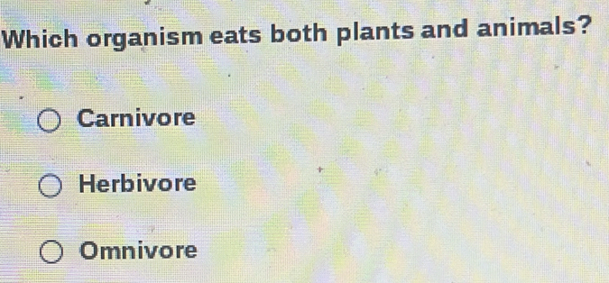 Which organism eats both plants and animals?
Carnivore
Herbivore
Omnivore