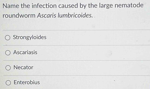 Name the infection caused by the large nematode
roundworm Ascaris lumbricoides.
Strongyloides
Ascariasis
Necator
Enterobius