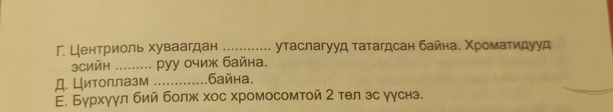 Г. Центриоль хуваагдан _утаслагууд татагдсан байна. Χроматидууд 
эCийH _pуу очиж байна. 
Д. Цитоллазм_ 
байна. 
Е. Бурхγγл бий болж хос хромосомтой 2 тθл эс γγснэ.