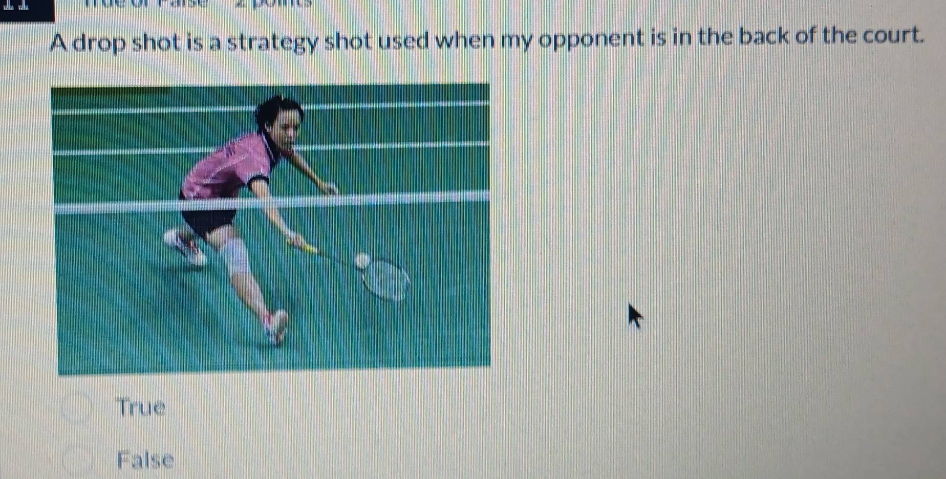 A drop shot is a strategy shot used when my opponent is in the back of the court.
True
False