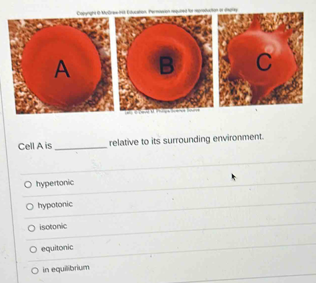 Solved: Cell A is _relative to its surrounding environment. hypertonic ...