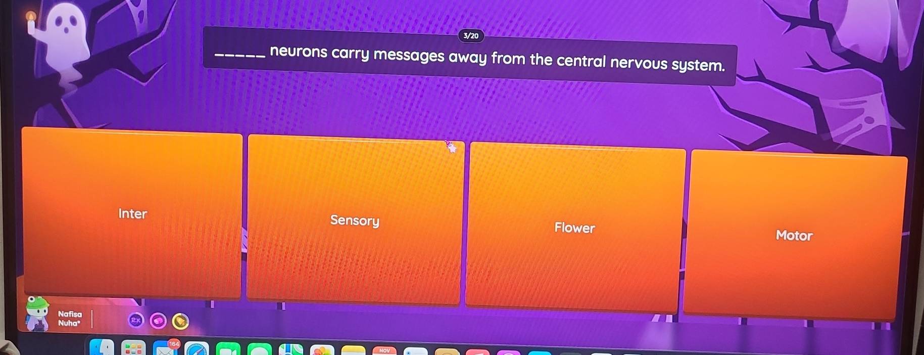 3/2
neurons carry messages away from the central nervous system.
Inter Sensory Flower Motor
Noes