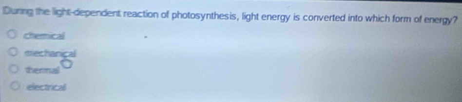 During the light dependent reaction of photosynthesis, light energy is converted into which form of energy?
chemical
mechanical
a
thernal
electrical