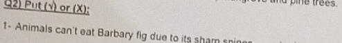 Q2) Put (√) or (X); 
1- Animals can't eat Barbary fig due to its sham sni