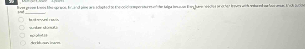 Evergreen trees like spruce, fir, and pine are adapted to the cold temperatures of the taiga because they have needles or other leaves with reduced surface areas, thick cuticle
and
_
buttressed roots
sunken stomata
epiphytes
deciduous leaves