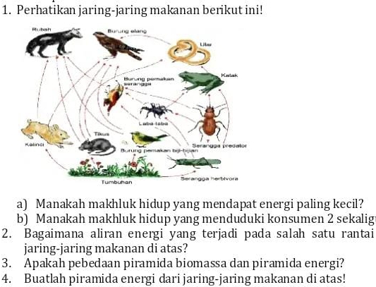 Perhatikan jaring-jaring makanan berikut ini! 
a) Manakah makhluk hidup yang mendapat energi paling kecil? 
b) Manakah makhluk hidup yang menduduki konsumen 2 sekalig 
2. Bagaimana aliran energi yang terjadi pada salah satu rantai 
jaring-jaring makanan di atas? 
3. Apakah pebedaan piramida biomassa dan piramida energi? 
4. Buatlah piramida energi dari jaring-jaring makanan di atas!