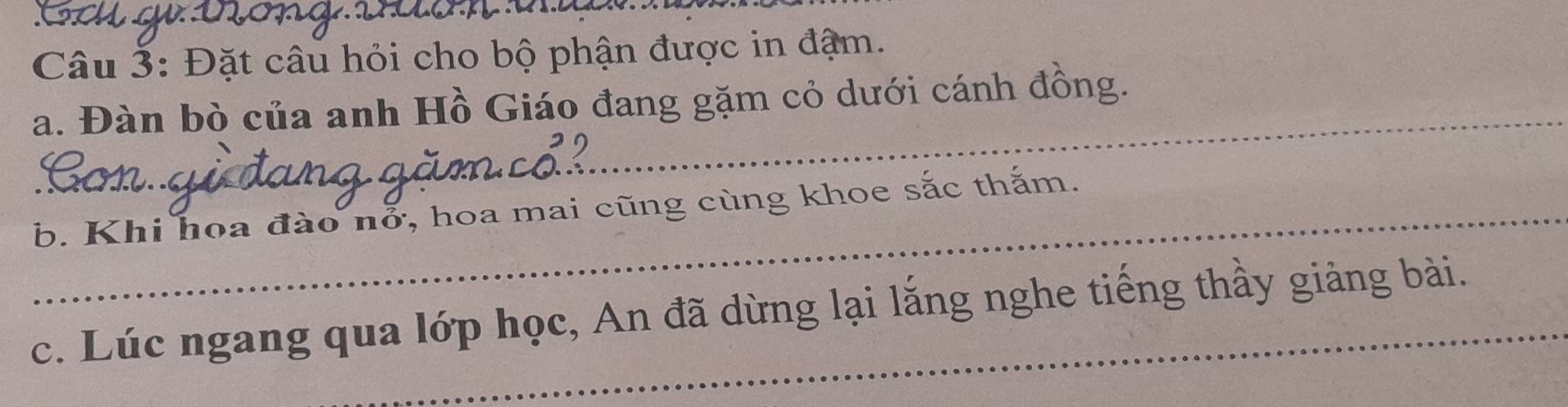 Đặt câu hỏi cho bộ phận được in đậm. 
_ 
a. Đàn bò của anh Hồ Giáo đang gặm cỏ dưới cánh đồng. 
_b. Khi hoa đào nổ, hoa mai cũng cùng khoe sắc thắm. 
c. Lúc ngang qua lớp học, An đã dừng lại lắng nghe tiếng thầy giảng bài.