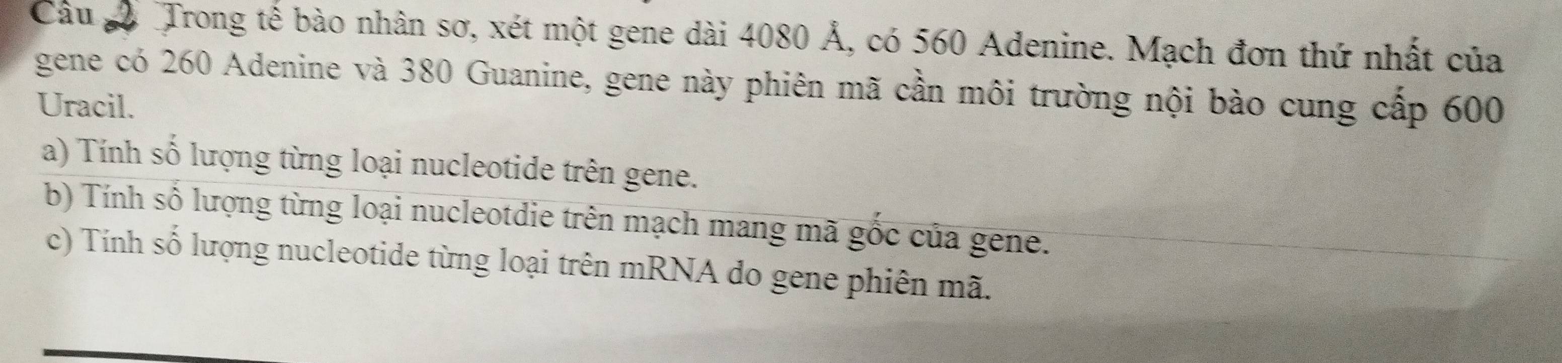 Câu Trong tế bào nhân sơ, xét một gene dài 4080 Ả, có 560 Adenine. Mạch đơn thứ nhất của 
gene có 260 Adenine và 380 Guanine, gene này phiên mã cần môi trường nội bào cung cấp 600
Uracil. 
a) Tính số lượng từng loại nucleotide trên gene. 
b) Tính số lượng từng loại nucleotdie trên mạch mang mã gốc của gene. 
c) Tính số lượng nucleotide từng loại trên mRNA do gene phiên mã.