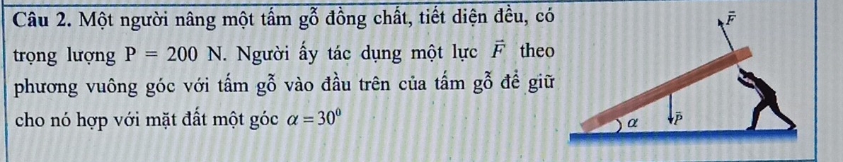 Một người nâng một tẩm g_0^(x đồng chất, tiết diện đều, có
trọng lượng P=200N.  Người ấy tác dụng một lực vector F) theo
phương vuông góc với tấm gỗ vào đầu trên của tấm gỗ đề giữ
cho nó hợp với mặt đất một góc alpha =30°