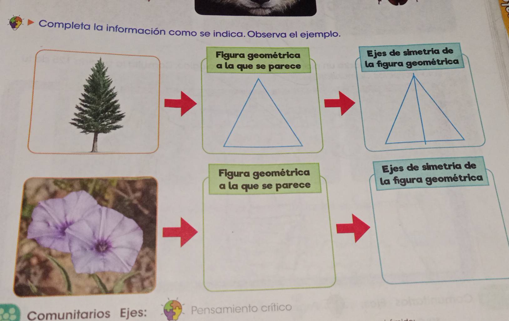 Completa la información como se indica. Observa el ejemplo. 
Figura geométrica Ejes de simetría de 
a la que se parece la figura geométrica 
Figura geométrica Ejes de simetría de 
a la que se parece la figura geométrica 
Comunitarios Ejes: Pensamiento crítico