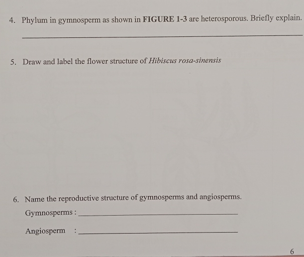 Phylum in gymnosperm as shown in FIGURE 1-3 are heterosporous. Briefly explain. 
_ 
5. Draw and label the flower structure of Hibiscus rosa-sinensis 
6. Name the reproductive structure of gymnosperms and angiosperms. 
Gymnosperms :_ 
Angiosperm :_ 
6