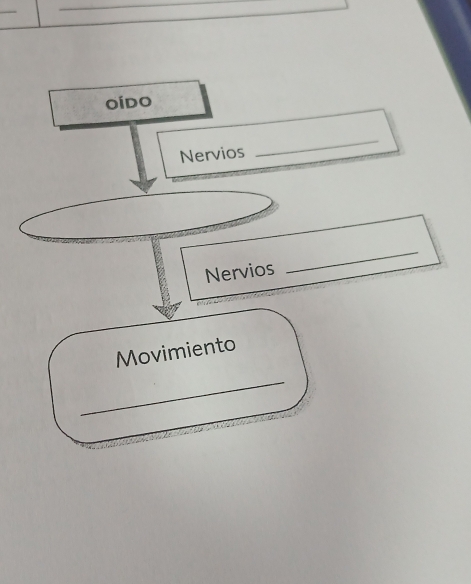 OiDo 
Nervios 
_ 
Nervios 
_ 
Movimiento 
_