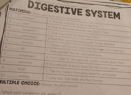 DIGES 
8 
9. 
10 
MU 
Which best completes the analoay?