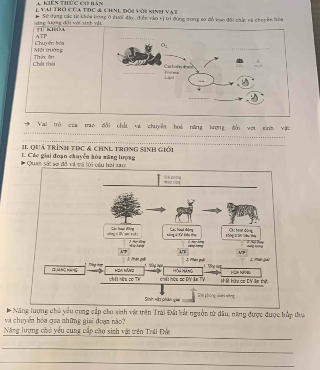 KIêN thức Cơ bản
1. VAI TRò CủA TĐC & CHNL đóI VớI SINH Vật
Sử dụng các từ khóa trong ô dưới đây, điễn vào vị trí đùng trong sơ đồ trao đổi chất và chuyển hóa
năng lượng đổi với sinh vậ
Vai trò của trao đổi chất và chuyển hoá năng lượng đổi với sinh vật:
II. QUÁ TRÌNH TĐC & CHNL TRONG SINH GIớI
1. Các giai đoạn chuyển hóa năng lượng
Quan sát sơ đồ và trả lời 
Năng lượng chủ yếu cung cấp cho sinh vật trên Trái Đất bắt nguồn từ đâu, năng được được hắp thụ
và chuyển hóa qua những giai đoạn nào?
_
Năng lượng chủ yếu cung cấp cho sinh vật trên Trái Đất
_
_