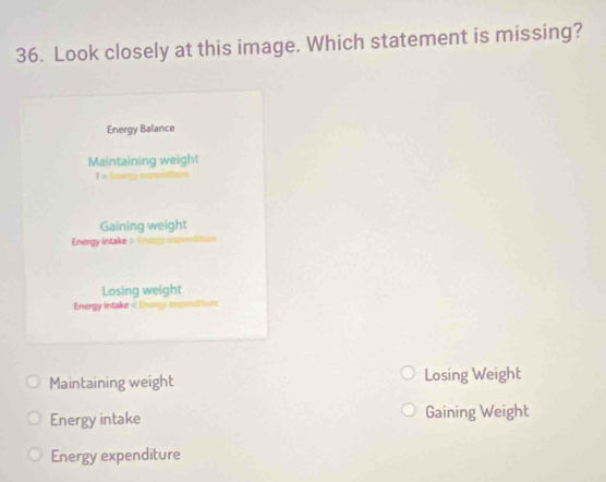 Look closely at this image. Which statement is missing?
Energy Balance
Maintaining weight
7=
Gaining weight
Energy intake > Tmorgs expenditure
Losing weight
Energy intake < Enory expeoditure
Maintaining weight Losing Weight
 Energy intake Gaining Weight
Energy expenditure