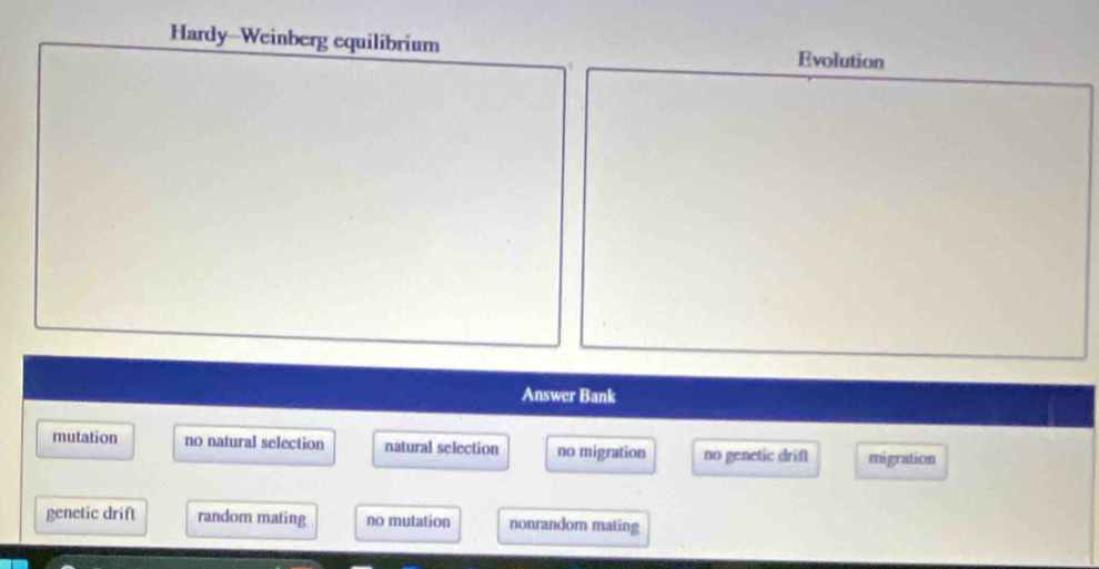 Hardy--Weinberg equilibrium Evolution
Answer Bank
mutation no natural selection natural selection no migration no genetic drif migration
genetic drift random mating no mutation nonrandom mating