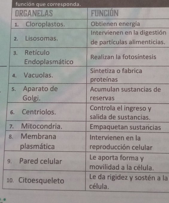 función que corresponda. 
ón 
as. 
e
7s
8
9
a la 
1 
.