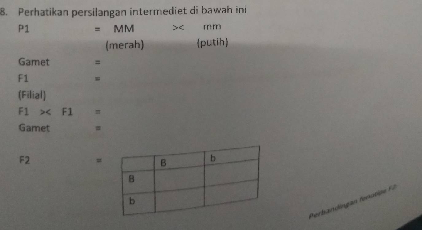 Perhatikan persilangan intermediet di bawah ini
P1 = MM mm 
>< 
(merah) (putih) 
Gamet =
F1
= 
(Filial)
F1 < <tex>F1 =
Gamet =
F2 
= 
Perbadi a f tip