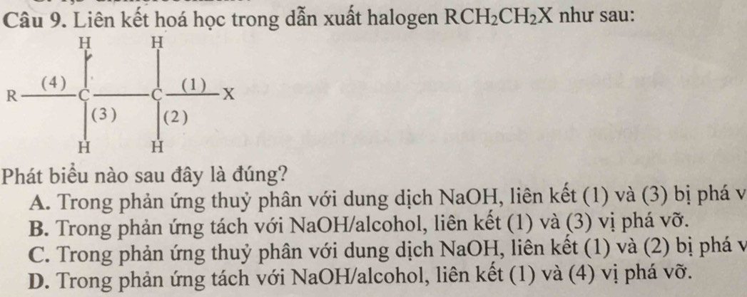 Liên kết hoá học trong dẫn xuất halogen RCH_2CH_2X như sau:
Phát biểu nào sau đây là đúng?
A. Trong phản ứng thuỷ phân với dung dịch NaOH, liên kết (1) và (3) bị phá và
B. Trong phản ứng tách với NaOH/alcohol, liên kết (1) và (3) vị phá vỡ.
C. Trong phản ứng thuỷ phân với dung dịch NaOH, liên kết (1) và (2) bị phá v
D. Trong phản ứng tách với NaOH/alcohol, liên kết (1) và (4) vị phá vỡ.