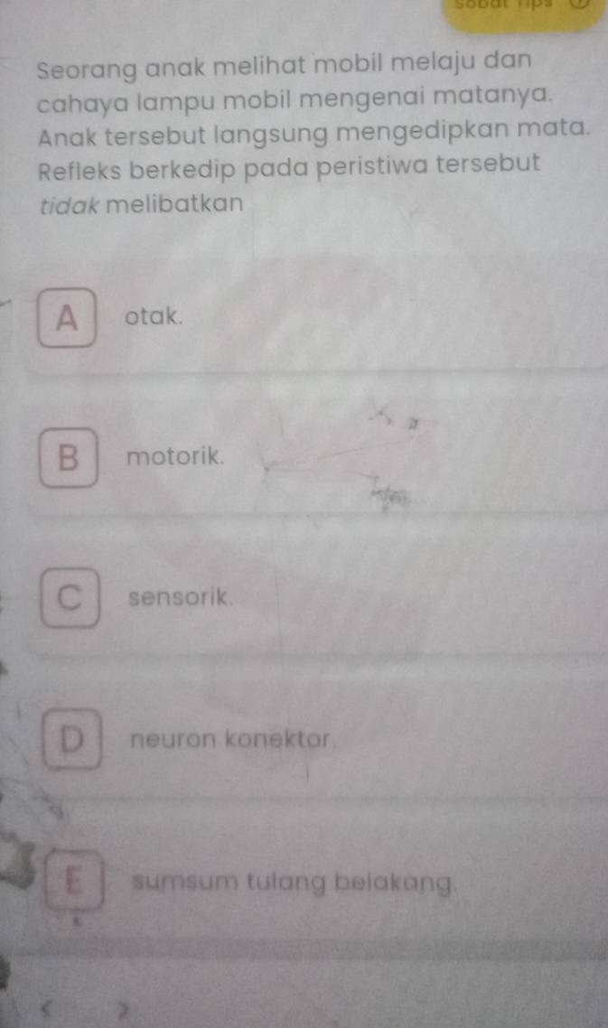 Sobat ps
Seorang anak melihat mobil melaju dan
cahaya lampu mobil mengenai matanya.
Anak tersebut langsung mengedipkan mata.
Refleks berkedip pada peristiwa tersebut
tidak melibatkan
A otak.
B | motorik.
C sensorik.
D neuron konektor.
E sumsum tulang belakang.