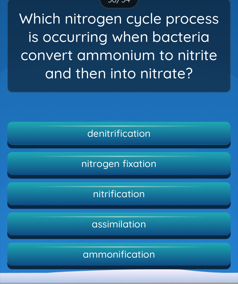 Which nitrogen cycle process
is occurring when bacteria
convert ammonium to nitrite
and then into nitrate?
denitrification
nitrogen fixation
nitrification
assimilation
ammonification