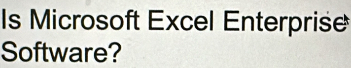 Is Microsoft Excel Enterprise 
Software?