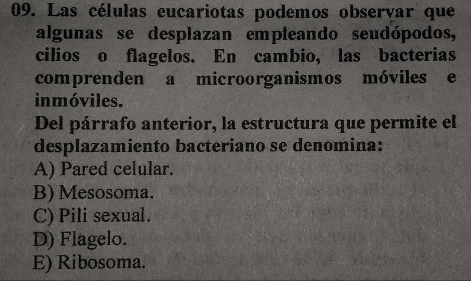 Las células eucariotas podemos observar que
algunas se desplazan empleando seudópodos,
cilios o flagelos. En cambio, las bacterias
comprenden a microorganismos móviles e
inmóviles.
Del párrafo anterior, la estructura que permite el
desplazamiento bacteriano se denomina:
A) Pared celular.
B) Mesosoma.
C) Pili sexual.
D) Flagelo.
E) Ribosoma.