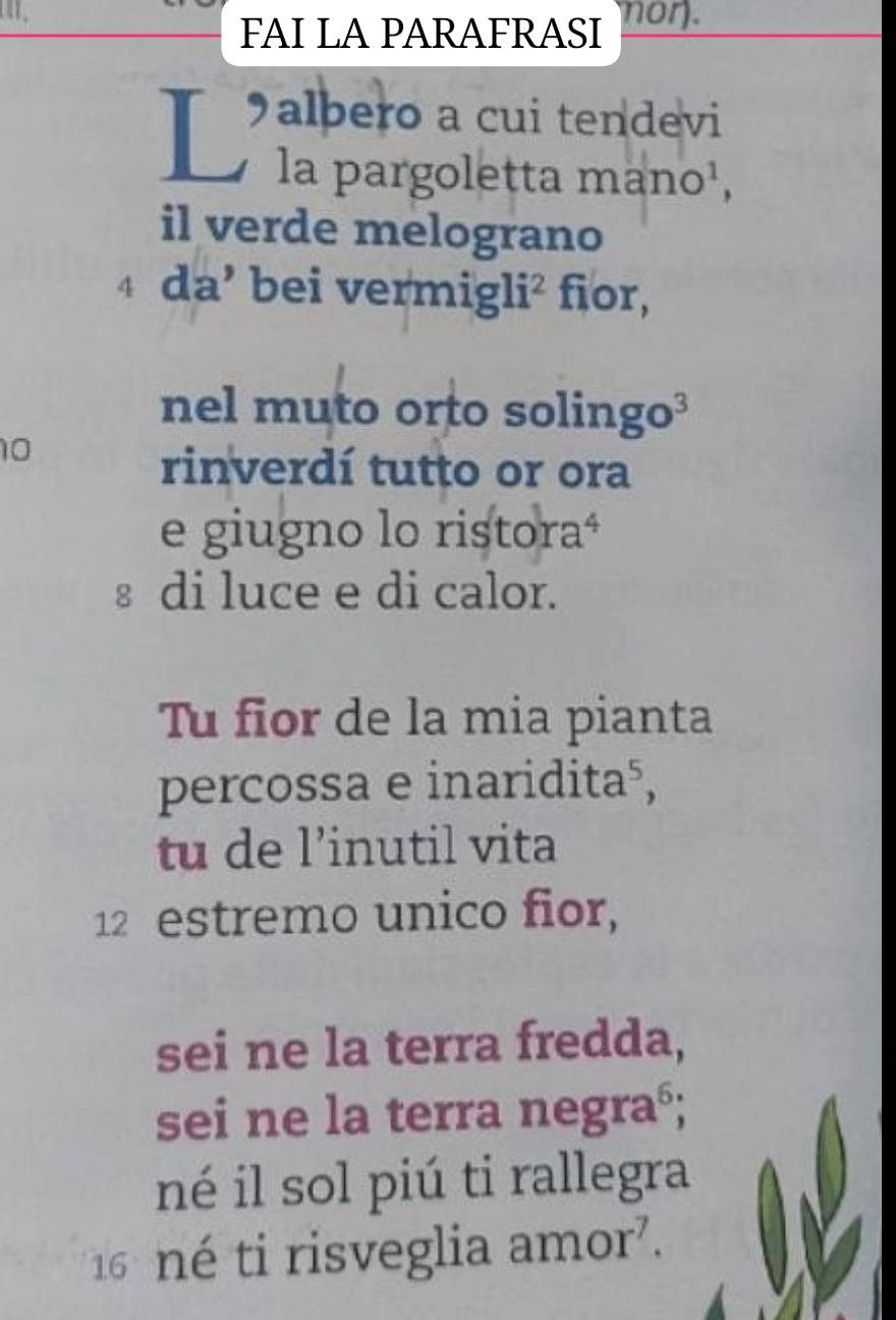 FAI LA PARAFRASI non. 
albero a cui tendevi 
la pargoletta mano¹, 
il verde melograno
4 da’ bei vermigli² fior, 
nel muto orto solingo³
10
rinverdí tutto or ora 
e giugno lo ristoraª 
s di luce e di calor. 
Tu fior de la mia pianta 
percossa e inaridita⁵, 
tu de l'inutil vita
12 estremo unico fior, 
sei ne la terra fredda, 
sei ne la terra negraó; 
né il sol piú ti rallegra
16 né ti risveglia amor'.