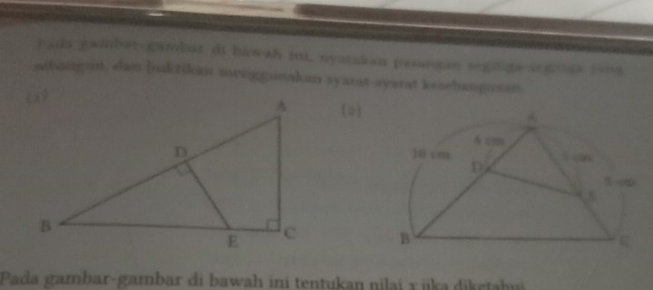 Pada gambat gambar di biowah int, nyatakan pesanogan segigs segea yont 
sebangun, dan buktikan menggunakan syarat-avarat kesebanguun. 
(o) 
Pada gambar-gambar di bawah ini tentukan nilai x jika diketahui