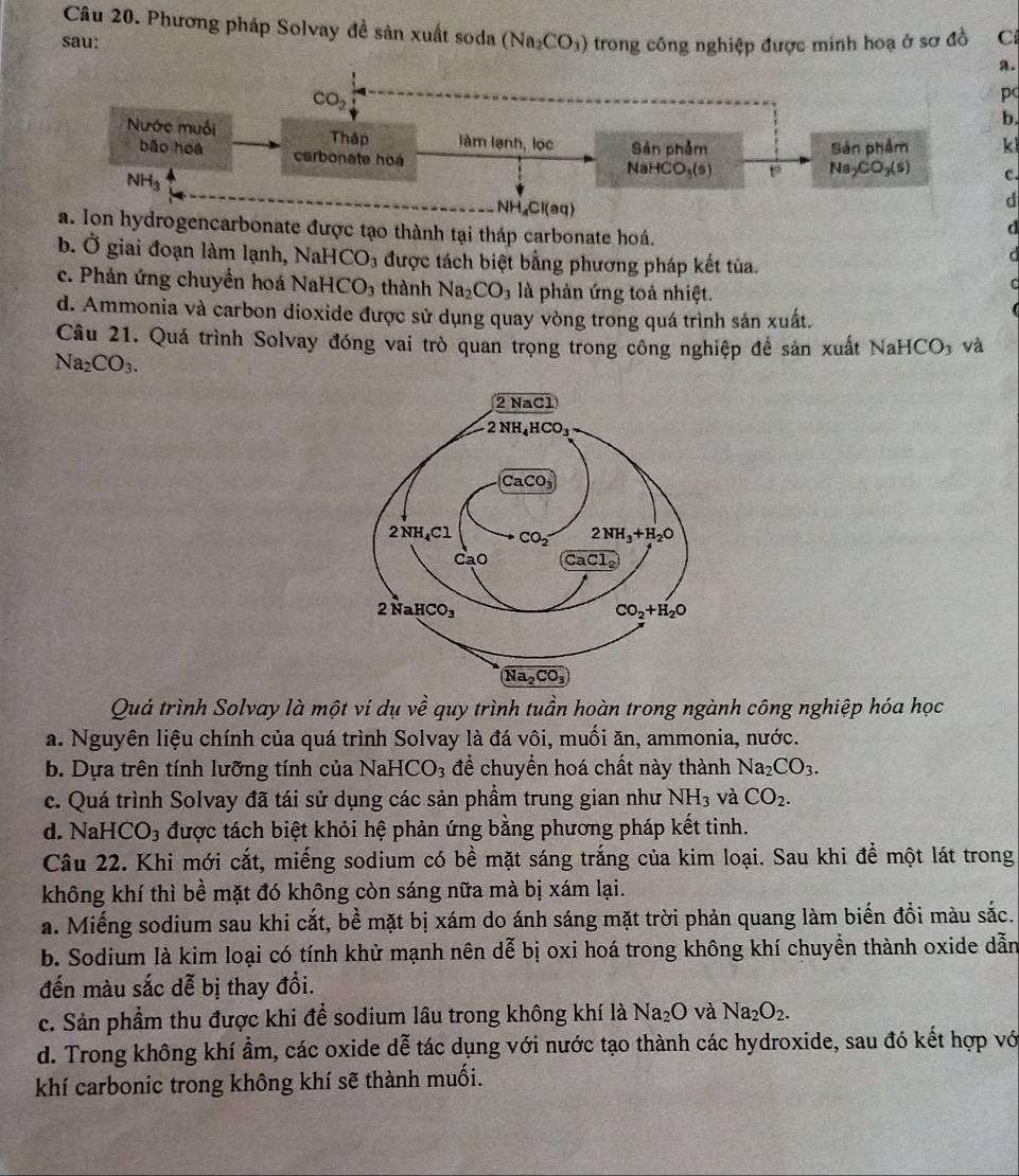 Phương pháp Solvay đề sản xuất soda (Na_2CO_3) a.
sau: trong công nghiệp được minh hoạ ở sơ đồ Cí
p
b.
k
c.
d
d
ydrogencarbonate được tạo thành tại tháp carbonate hoá. d
b. Ở giai đoạn làm lạnh, NaHCO_3 được tách biệt bằng phương pháp kết tủa.
c. Phản ứng chuyền hoá NaHCO_3 thành Na_2CO_3 là phản ứng toả nhiệt.
C
d. Ammonia và carbon dioxide được sử dụng quay vòng trong quá trình sản xuất.
Câu 21. Quá trình Solvay đóng vai trò quan trọng trong công nghiệp để sản xuất NaHCO₃ và
Na_2CO_3.
Quá trình Solvay là một ví dụ về quy trình tuần hoàn trong ngành công nghiệp hóa học
a. Nguyên liệu chính của quá trình Solvay là đá vôi, muối ăn, ammonia, nước.
b. Dựa trên tính lưỡng tính của Nah -ICO_3 để chuyển hoá chất này thành Na_2CO_3.
c. Quá trình Solvay đã tái sử dụng các sản phầm trung gian như NH_3 và CO_2.
d. NaHCO₃ được tách biệt khỏi hệ phản ứng bằng phương pháp kết tinh.
Câu 22. Khi mới cắt, miếng sodium có bề mặt sáng trắng của kim loại. Sau khi để một lát trong
không khí thì bề mặt đó không còn sáng nữa mà bị xám lại.
a. Miếng sodium sau khi cắt, bề mặt bị xám do ánh sáng mặt trời phản quang làm biến đồi màu sắc.
b. Sodium là kim loại có tính khử mạnh nên dễ bị oxi hoá trong không khí chuyền thành oxide dẫn
đến màu sắc dễ bị thay đồi.
c. Sản phẩm thu được khi để sodium lâu trong không khí là Na_2O và Na_2O_2.
d. Trong không khí ẩm, các oxide dễ tác dụng với nước tạo thành các hydroxide, sau đó kết hợp vớ
khí carbonic trong không khí sẽ thành muối.