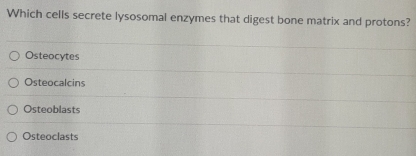 Which cells secrete lysosomal enzymes that digest bone matrix and protons?
Osteocytes
Osteocalcins
Osteoblasts
Osteoclasts