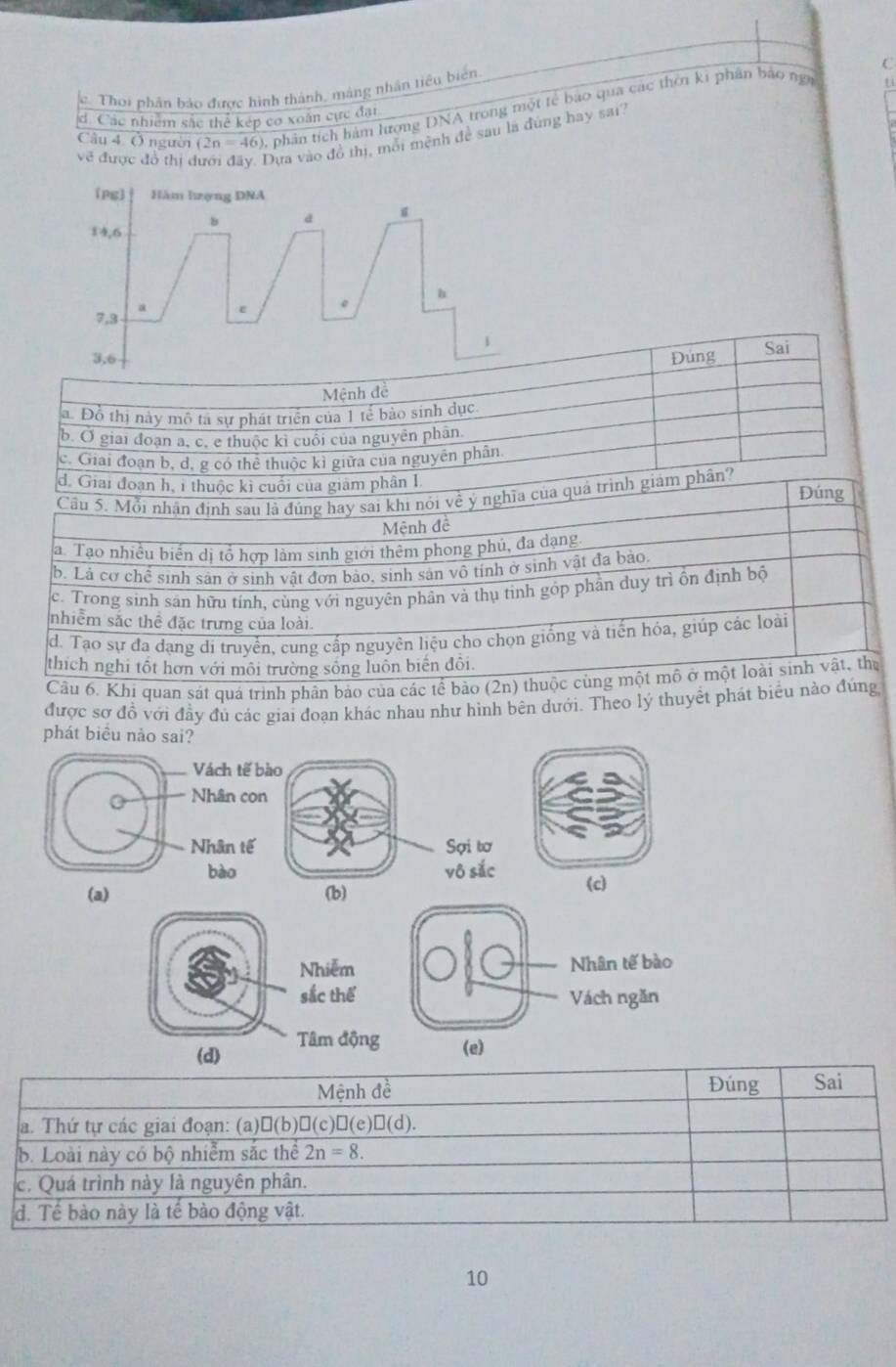 Thoi phân báo được hình thành, mảng nhân tiêu biển
Câu 4. Ở người (2n=46) 0, phân tích hàm hượng DNA trong một tế bao qua các thời ki phân bảo nga
U
d. Các nhiêm sắc thể kép cơ xoân cực đại
về được đổ thị dưới đây, Dựa vào đồ thị, mỗi mệnh đề sau là đúng hay sai?
[Pg] Hăm hzợng DNA
。
14,6
b
7,3 a
ε c
1
3,6 Đúng Sai
Mệnh đề
a. Đồ thị này mô tà sự phát triển của 1 tế bào sinh dục
b. Ở giai đoạn a, c, e thuộc kì cuối của nguyễn phân.
c. Giai đoạn b, d, g có thể thuộc kì giữa của nguyên phân
d. Giai đoạn h, i thuộc kì cuối của giám phân L Đúng
Cầu 5. Mỗi nhận định sau là đúng hay sai khi nói về ý nghĩa của quả trình giám phân?
Mệnh đề
a. Tạo nhiều biển dị tổ hợp làm sinh giới thêm phong phú, đa dạng.
b. Lả cơ chế sinh sản ở sinh vật đơn bảo, sinh sản vô tính ở sinh vật đa bảo.
c. Trong sinh sản hữu tính, cùng với nguyên phân và thụ tinh góp phần duy trì ồn định bộ
nhiềm sắc thể đặc trưng của loài.
d. Tạo sự đa dạng di truyền, cung cấp nguyên liệu cho chọn giống và tiến hóa, giúp các loài
thích nghi tốt hơn với môi trường sống luôn biến đôi.
Câu 6. Khi quan sát quá trình phân bảo của các tể bảo (2n) thuộc cùng một mô ở một loài sinh vật, thủ
được sợ đồ với đầy đủ các giai đoạn khác nhau như hình bên dưới. Theo lý thuyềt phát biểu nào đúng
phát biểu nảo sai?
Vách tế bào
o Nhân con
Nhân tế Sợi tơ
bào vô sắc
(a) (b) (c)
Nhiễm 
sắc thể
(d) Tâm độ
Mệnh đề Đúng Sai
a. Thứ tự các giai đoạn: (a) □ (b)□ (c)□ (e)□ (d).
b. Loài này có bộ nhiễm sắc thể 2n=8.
c. Quá trình này là nguyên phân.
d. Tế bào này là tế bào động vật.
10