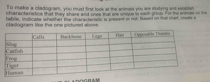 To make a cladogram, you must first look at the animals you are studying and establish 
characteristics that they share and ones that are unique to each group. For the animals on the 
table, indicate whether the characteristic is present or not. Based on that chart, create a 
cladogram like the one pictured above. 
ADOGRAM