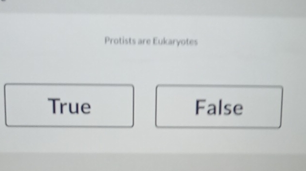 Protists are Eukaryotes
True False