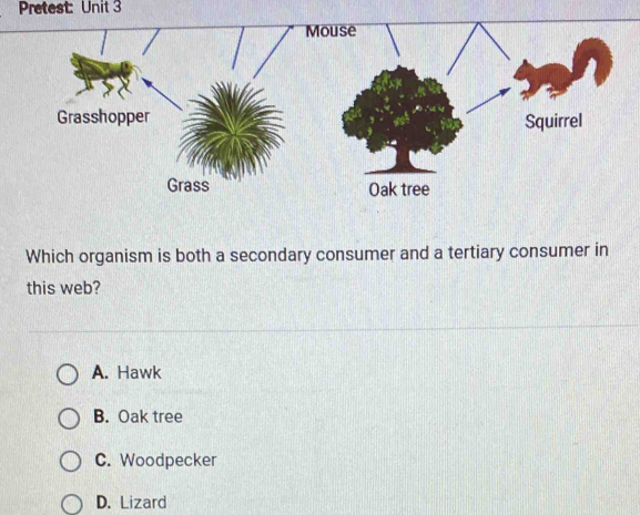 Pretest: Unit 3
Which organism is both a secondary consumer and a tertiary consumer in
this web?
A. Hawk
B. Oak tree
C. Woodpecker
D. Lizard