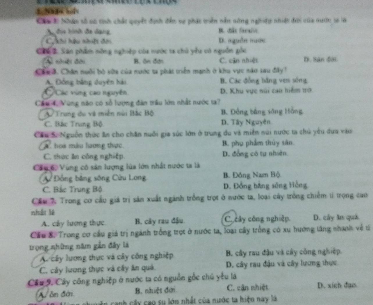 Cân #: Nhân số só tíh chất quyết định đến sự phát triển nẫn sông nghiệp nhiệt đời của nước là là
Au đị hình đã dạng, B. dâs feralit
C nhi hậu nhiệt đời D. nguồn nuớc
Cáa B. Sản phẩm nòng nghiệp của nước ta chủ yêu có nguồn gốc
A nhiếi đời B. ôn đớn C. cận nhiệt Ik. Sản đới
ChaB. Chân nuổi bộ sữa của nước ta phát triển mạnh ở khu vực nào sau đây?
A. Đồng bằng đuyên hải B. Các đồng bằng ven sông
Các vùng cao nguyên D. Khu vục núi cao hiểm tới
Câu 4. Vùng nào có số lượng đân trâu lờn nhất nước ta?
A Trung du và miền núi Bắc Bộ B. Đồng bằng sóng Hồng
C. Bắc Trung Bộ D. Tây Nguyên
Cầu S. Nguồn thức ăn cho chăn nuôi gia súc lớn ở trung du và miền núi nước ta chủ yêu dưa vào
( A hoa màu lương thực. B. phụ phẩm thủy sản.
C. thức ăn công nghiệp. D. đồng có tự nhiên.
Câu 6, Vùng có sản lượng lủa lớn nhất nước ta là
A Đồng bằng sông Cửu Long. B. Đông Nam Bộ.
C. Bắc Trung Bộ D. Đồng bằng sống Hồng,
Cầu 7, Trong cơ cầu giá trị sản xuất ngành trồng trọt ở nước ta, loại cây trồng chiếm tỉ trọng cao
nhất là
C cây công nghiệp
A. cây lương thực B. cây rau đậu. D. cây ăn quả
Cầu 8. Trong cơ cầu giả trị ngành trống trọt ở nước ta, loại cây trống có xu hướng tầng nhanh về tí
trọng những năm gần đây là
A. cây lương thực và cây công nghiệp B. cây rau đầu và cây công nghiệp.
C. cây lương thực và cây ân quả. D. cây rau đầu và cây lương thực.
Cầu 9. Cây công nghiệp ở nước ta có nguồn gốc chủ yêu là
A ân đới B. nhiệt đới. C. cận nhiệt
D. xich đạo
en canh cây cao su lớn nhất của nước ta hiện nay là