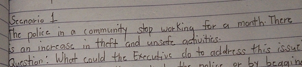 Secnario 1 
The police in a community stop working for a month. There 
is an increase in thet and unsafe activities. 
Question: What could the Exccutivc do to address this issut 
Hor nolice or by bedain