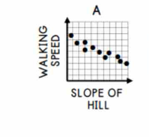 A 
SLOPE OF 
HILL