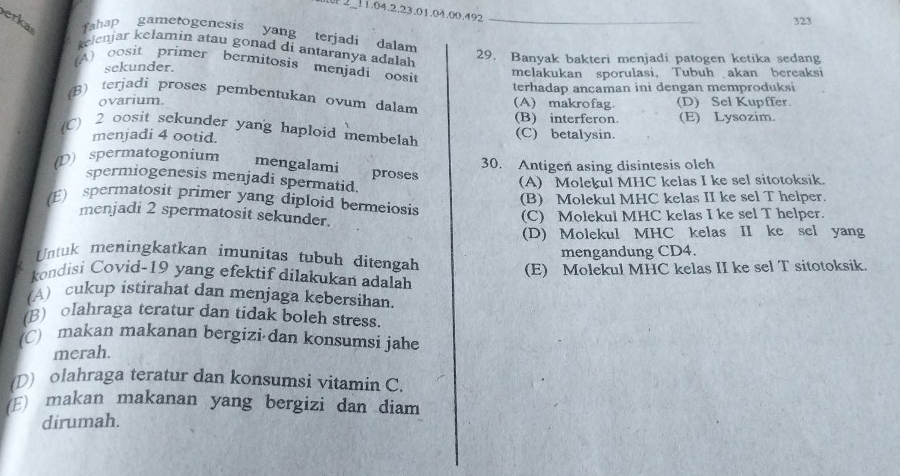 2_11.04.2.23.01.04.00.492
323
erka Tahap gametogenesis yang terjadí dalam_
kelenjar kelamin atau gonad di antaranya adala 
29. Banyak bakteri menjadi patogen ketika sedang
(A) oosit primer bermitosis menjädi oosit
sckunder. melakukan sporulasi， Tubuh akan bereaksi
terhadap ancaman ini dengan memproduksi
(B) terjadi proses pembentukan ovum dalam (A) makrofag. (D) Sel Kupffer.
ovarium.
(B) interferon (E) Lysozim.
(C) 2 oosit sekunder yang haploid membelah (C) betalysin.
menjadi 4 ootid.
D) spermatogonium
30. Antigen asing disintesis oleh
mengalami proses
spermiogenesis menjadi spermatid.
(A) Molekul MHC kelas I ke sel sitotoksik.
(B) Molekul MHC kelas II ke sel T helper.
(E) spermatosit primer yang diploid bermeiosis
menjadi 2 spermatosit sekunder.
(C) Molekul MHC kelas I ke sel T helper.
(D) Molekul MHC kelas II ke sel yang
mengandung CD4.
Untuk meningkatkan imunitas tubuh ditengah
(E) Molekul MHC kelas II ke sel T sitotoksik.
kondisi Covid-19 yang efektif dilakukan adalah
(A) cukup istirahat dan menjaga kebersihan
(B) olahraga teratur dan tidak boleh stress.
(C) makan makanan bergizi dan konsumsi jahe
merah.
(D) olahraga teratur dan konsumsi vitamin C.
(E) makan makanan yang bergizi dan diam
dirumah.